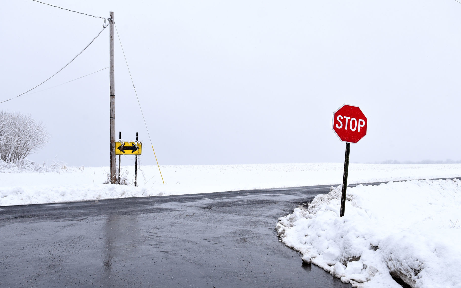 Frosted countryside 3